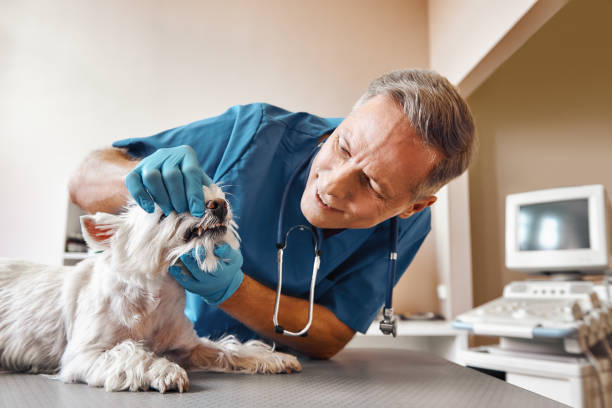 Best Emergency Dental Extractions in Farmville, VA